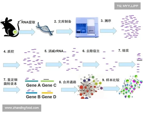注组在现代生物学研究中的应用与发展趋势探索 注组在现代生物学研究中的应用与发展趋势探索